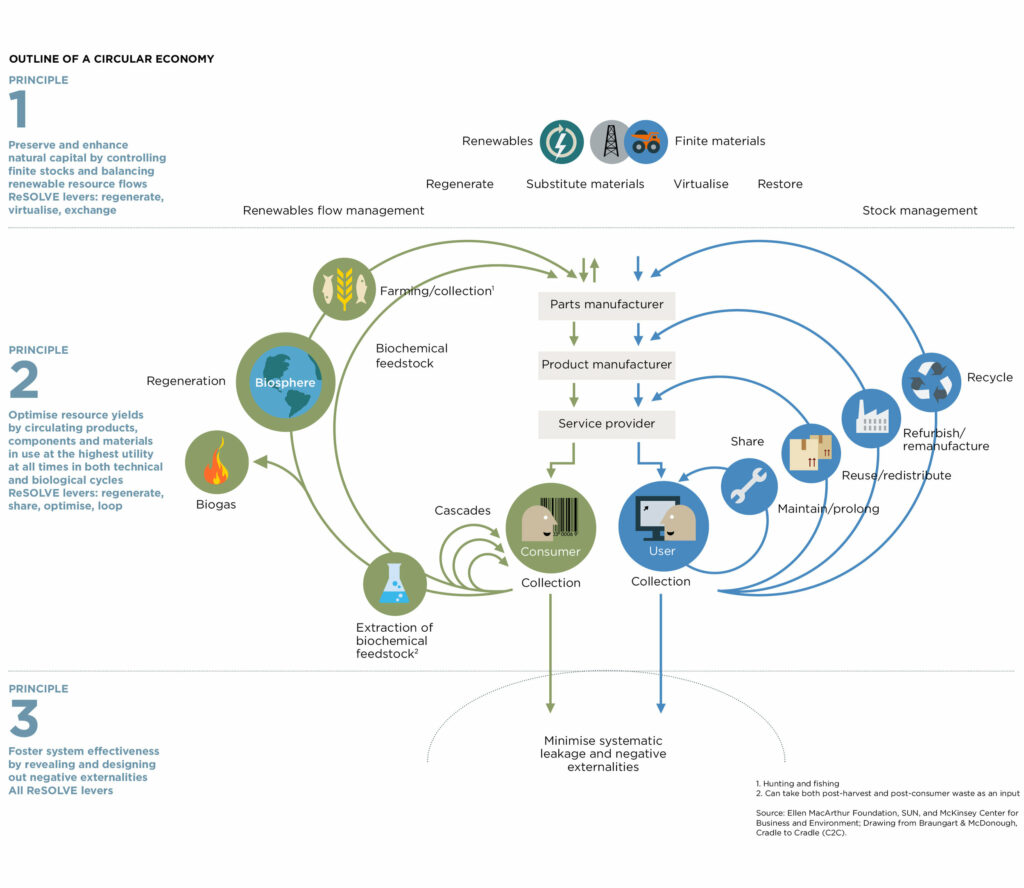 infograph explaining the circular economy