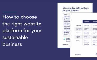 How to choose the right website platform for your sustainable business