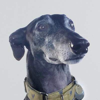 Frank