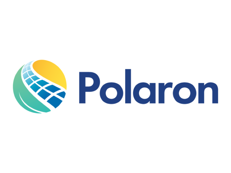 polaron