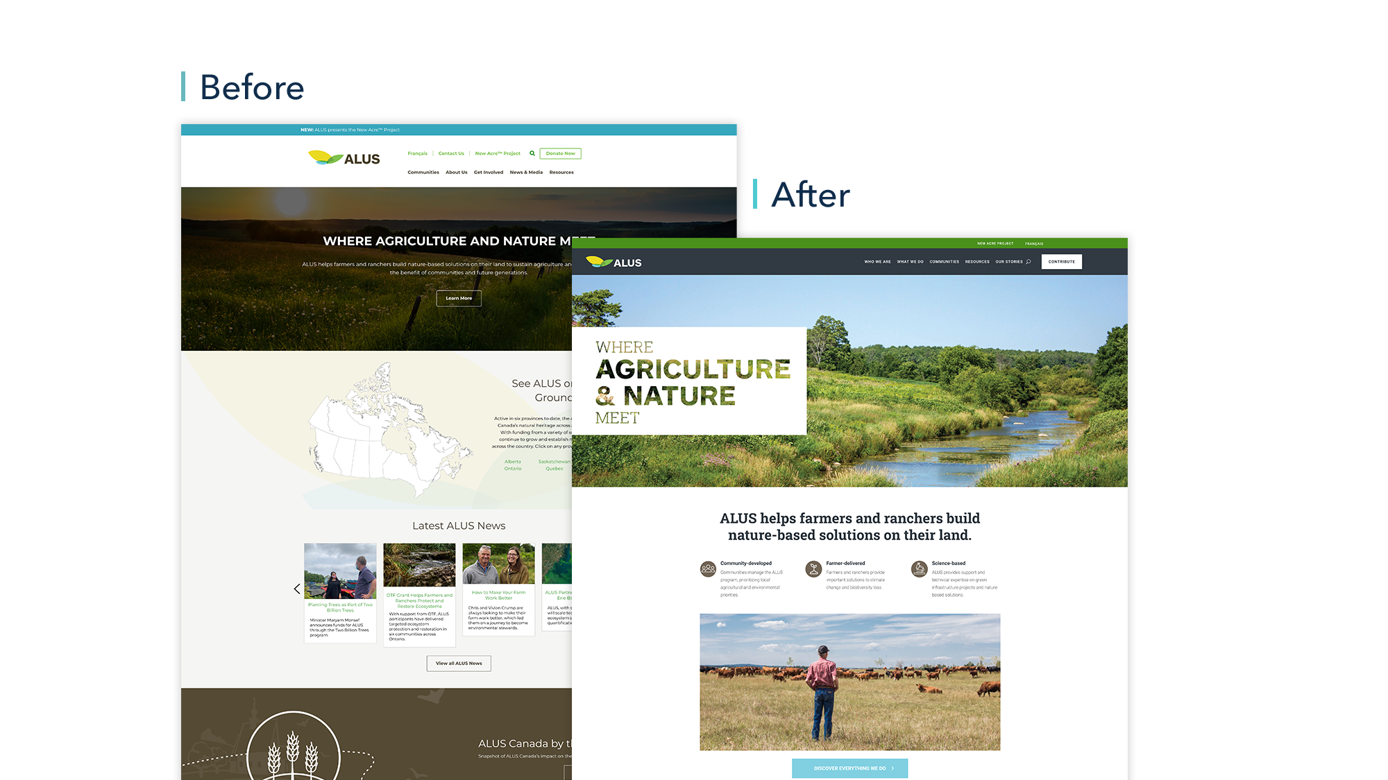 alus_web-mockup-before-after