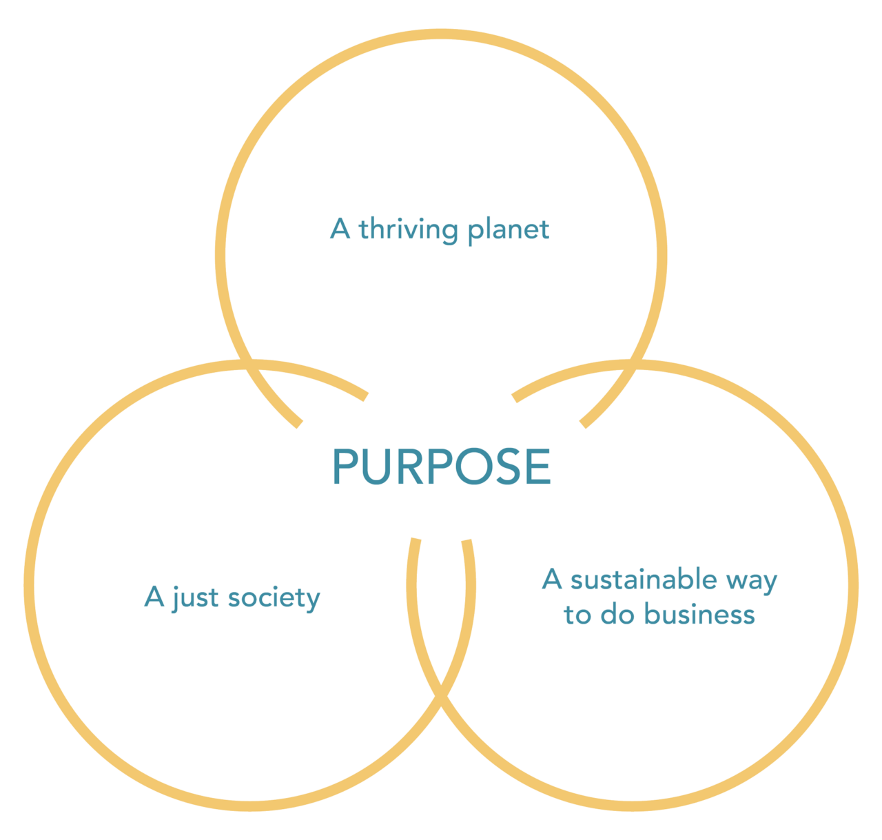 Purpose Driven Branding Strategy and Design R&G