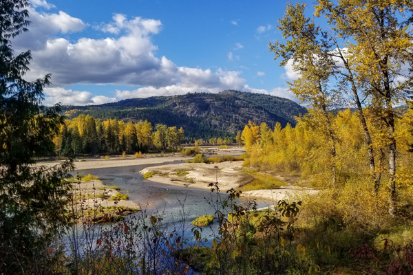 Purposeful Flood Management Solutions