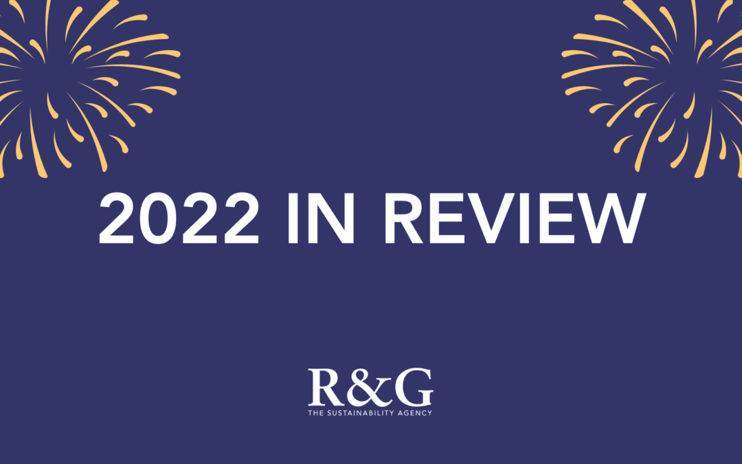 2022 in Review