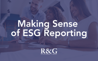 Making Sense of ESG Reporting